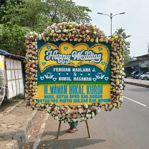 bunga papan (1)