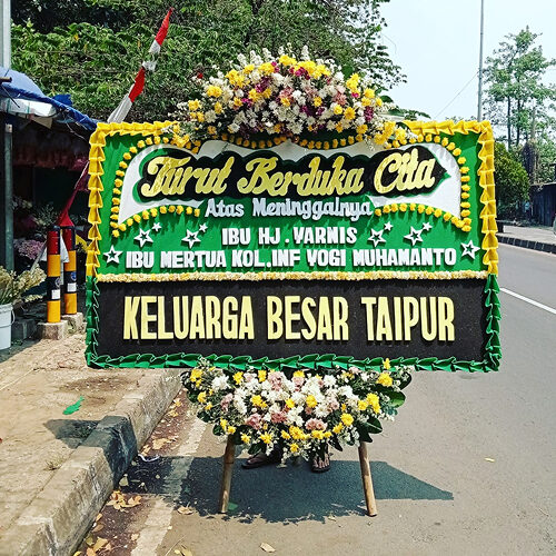 bunga papan (10)