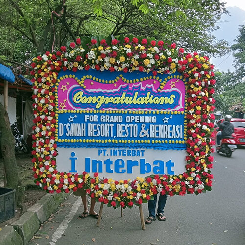 bunga papan (6)
